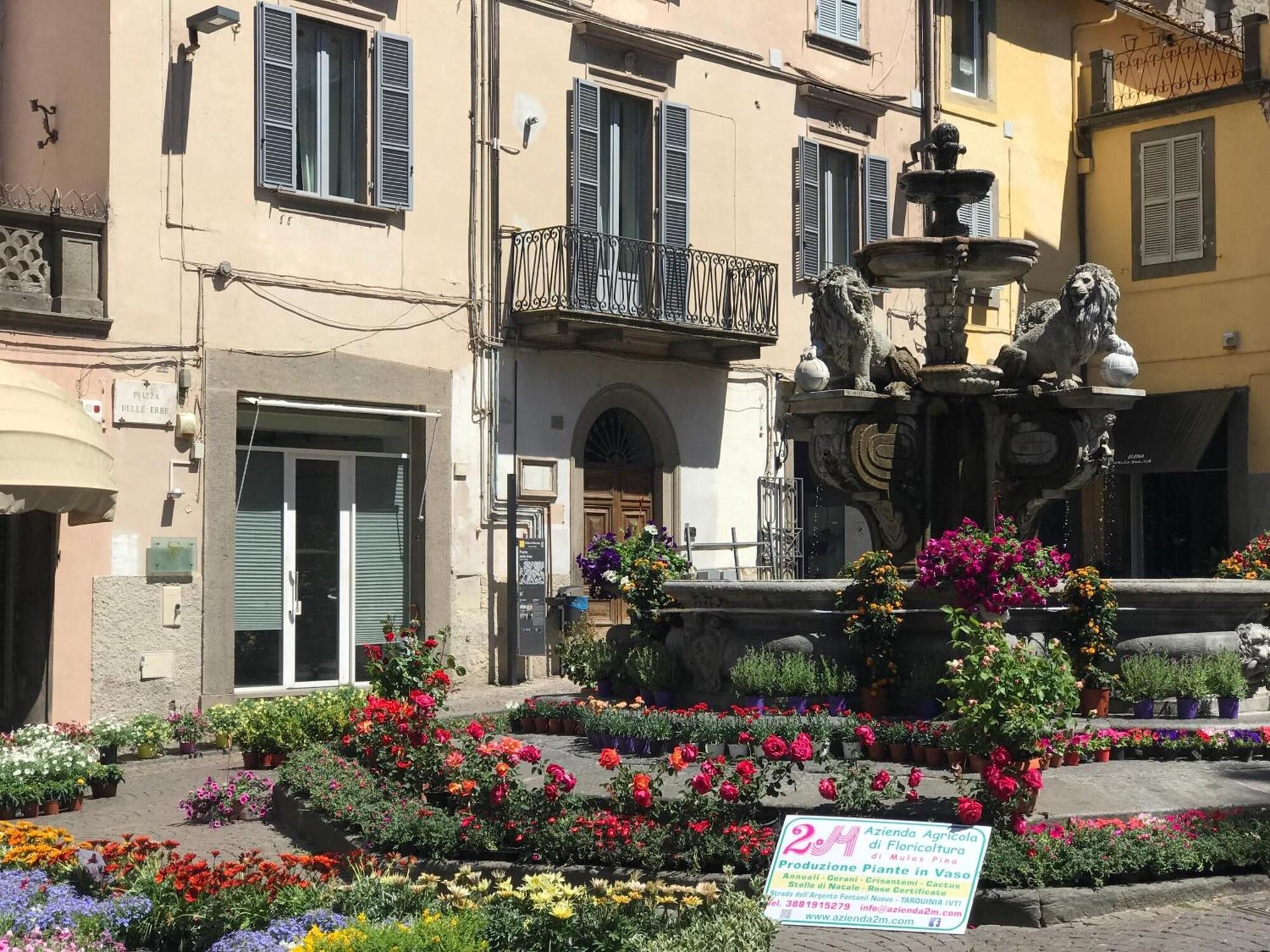Vista Exterior Le Erbe Guest House