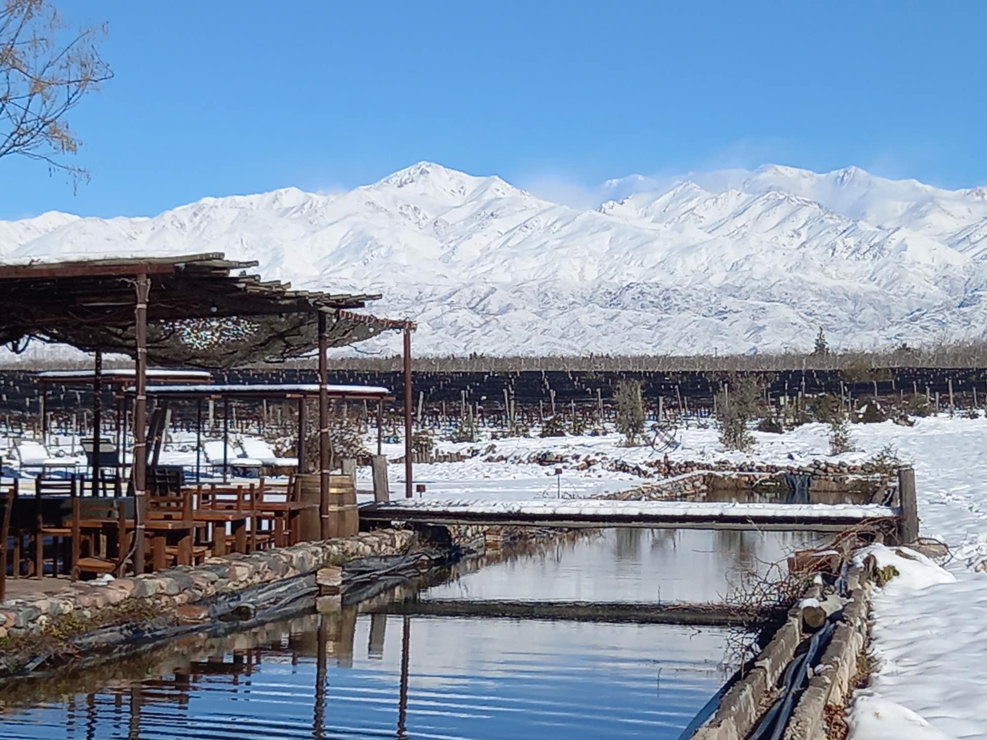Varios Tupungato Divino