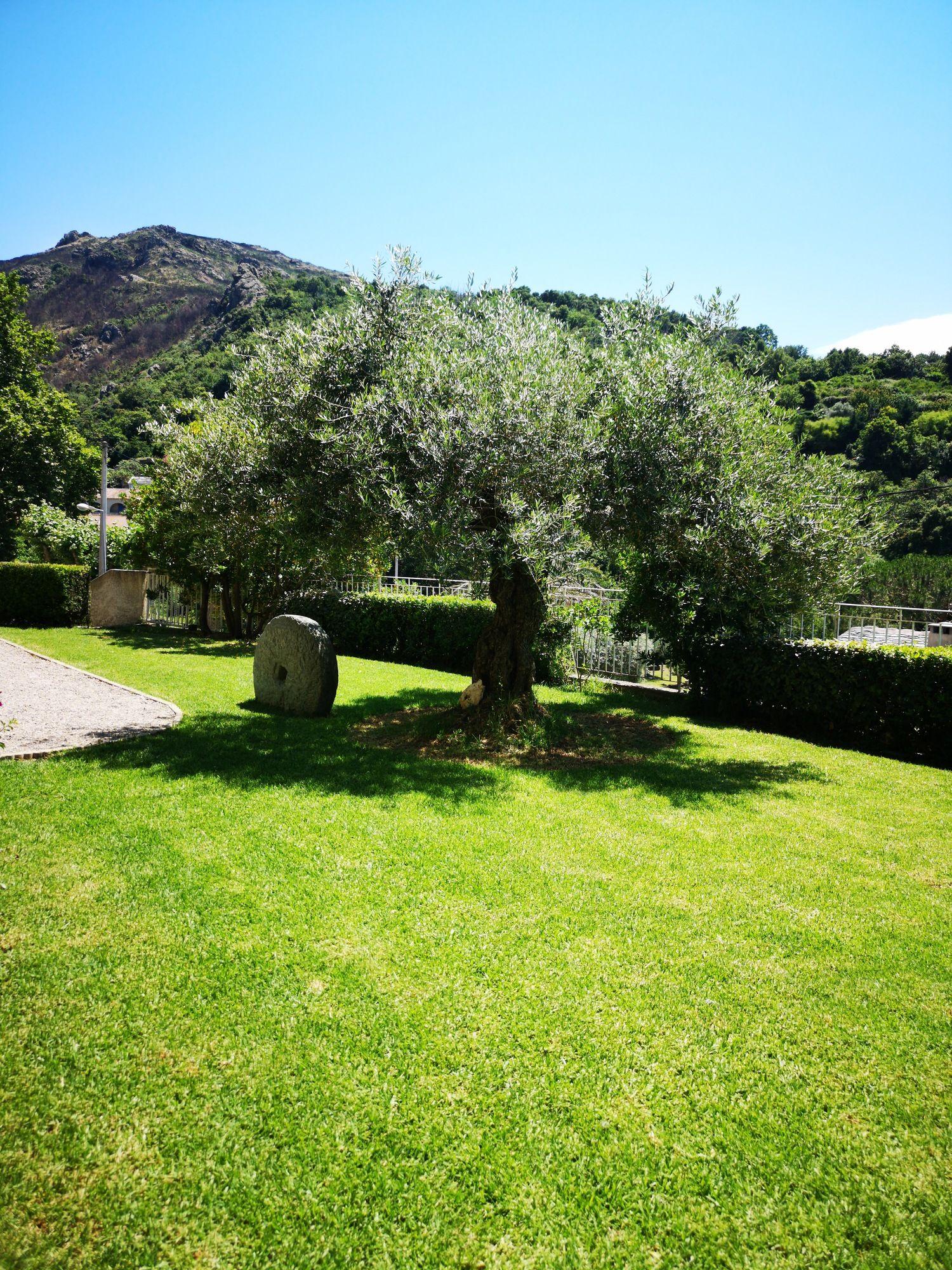 Varios Hôtel Sant'Andria