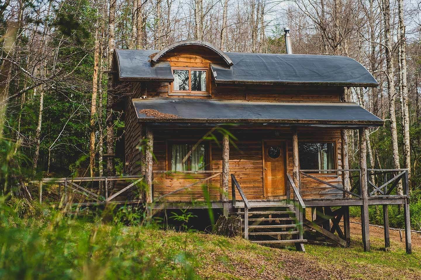 Varios Huilo Huilo Cabanas del Bosque