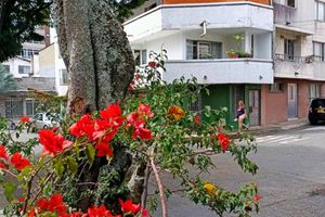 Alojamiento - Acogedor Aparta Hotel para 3H Belén Rosales apt 202