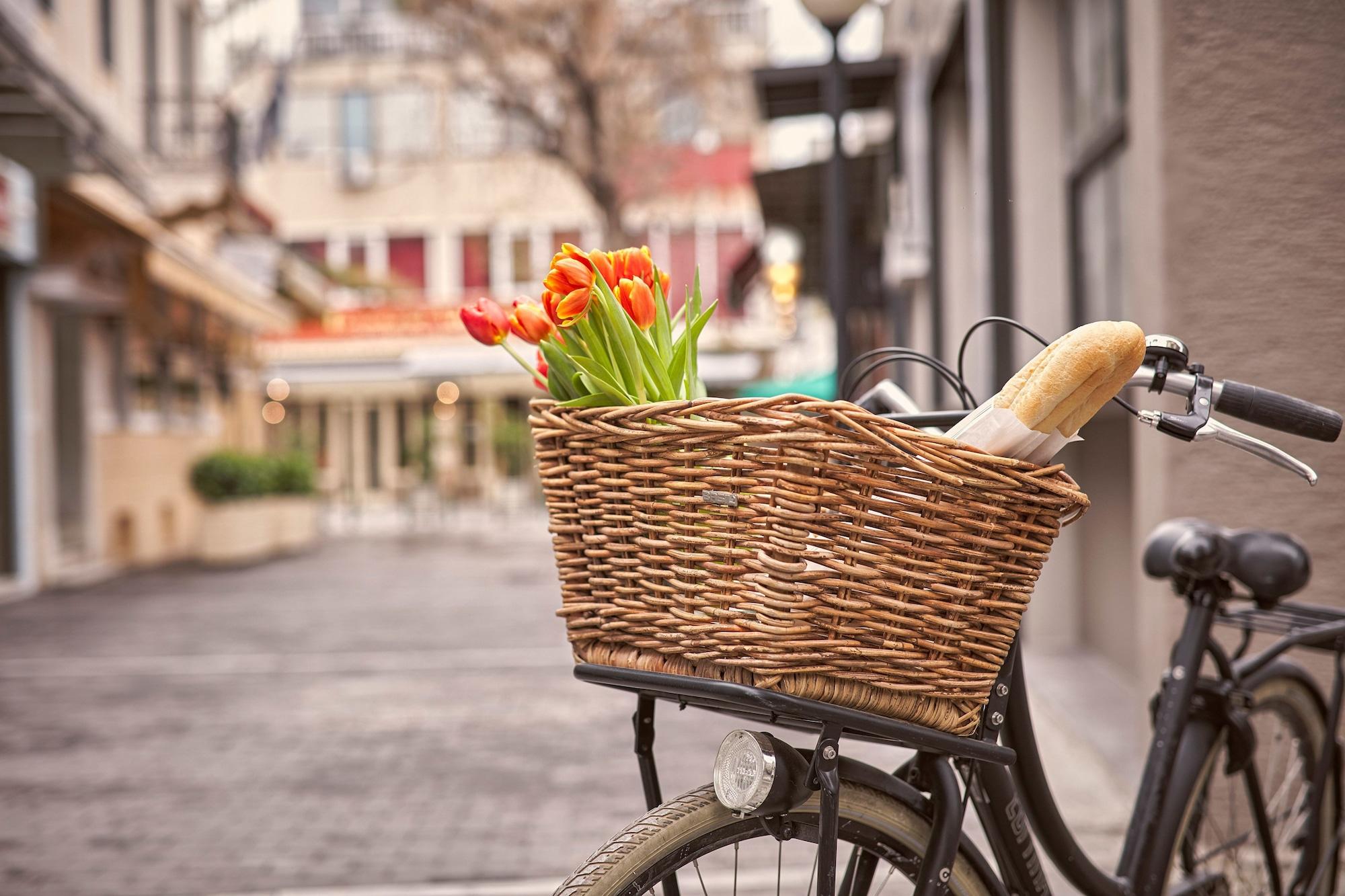 Vista Exterior 18 Micon Street