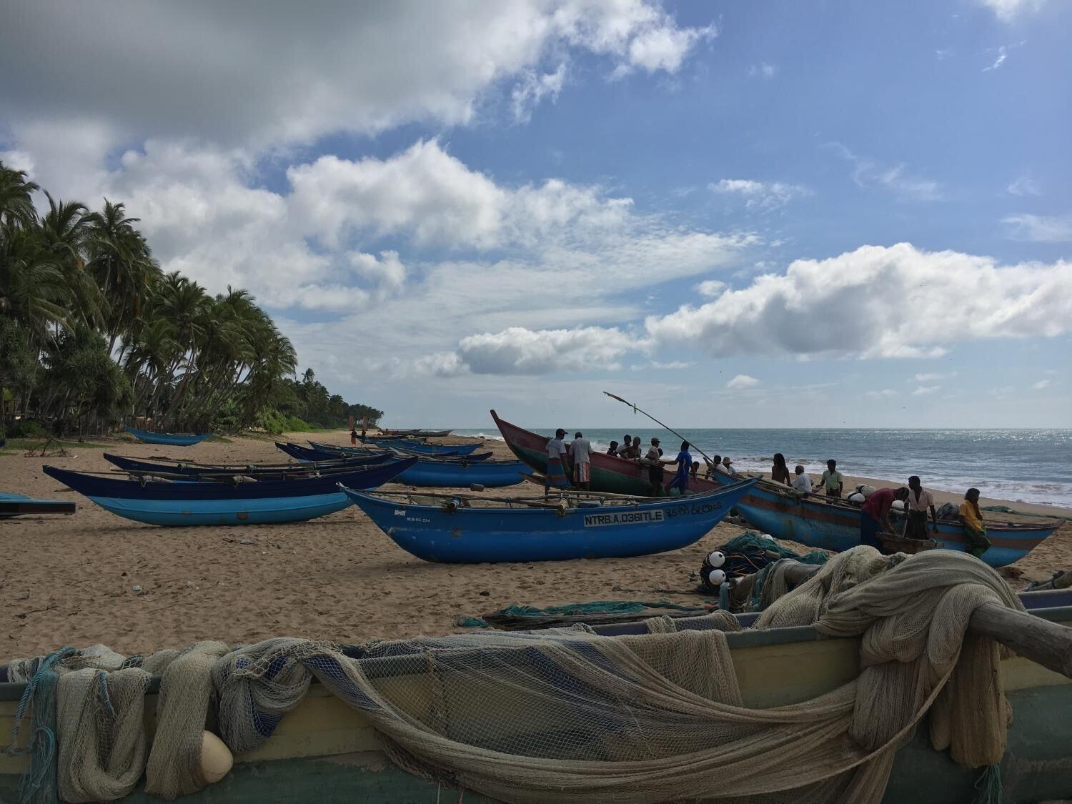 Playa Back of beyond -  Wellness Retreat