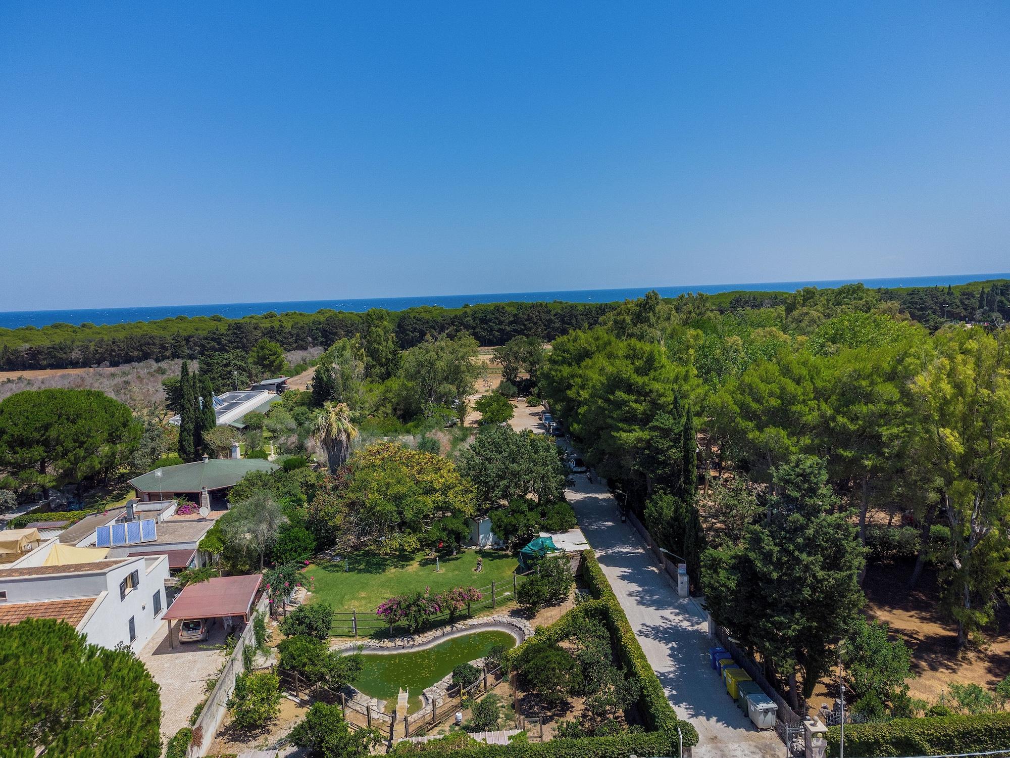 Varios BIO AGRITURISMO SALOS