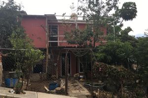 Alojamiento - La Casa Del Nenufar - Hostel