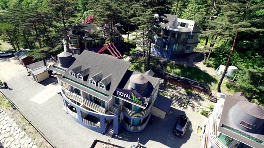 Varios Royaltree Pension