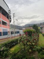 Alojamiento - Hotel Los Pajonales