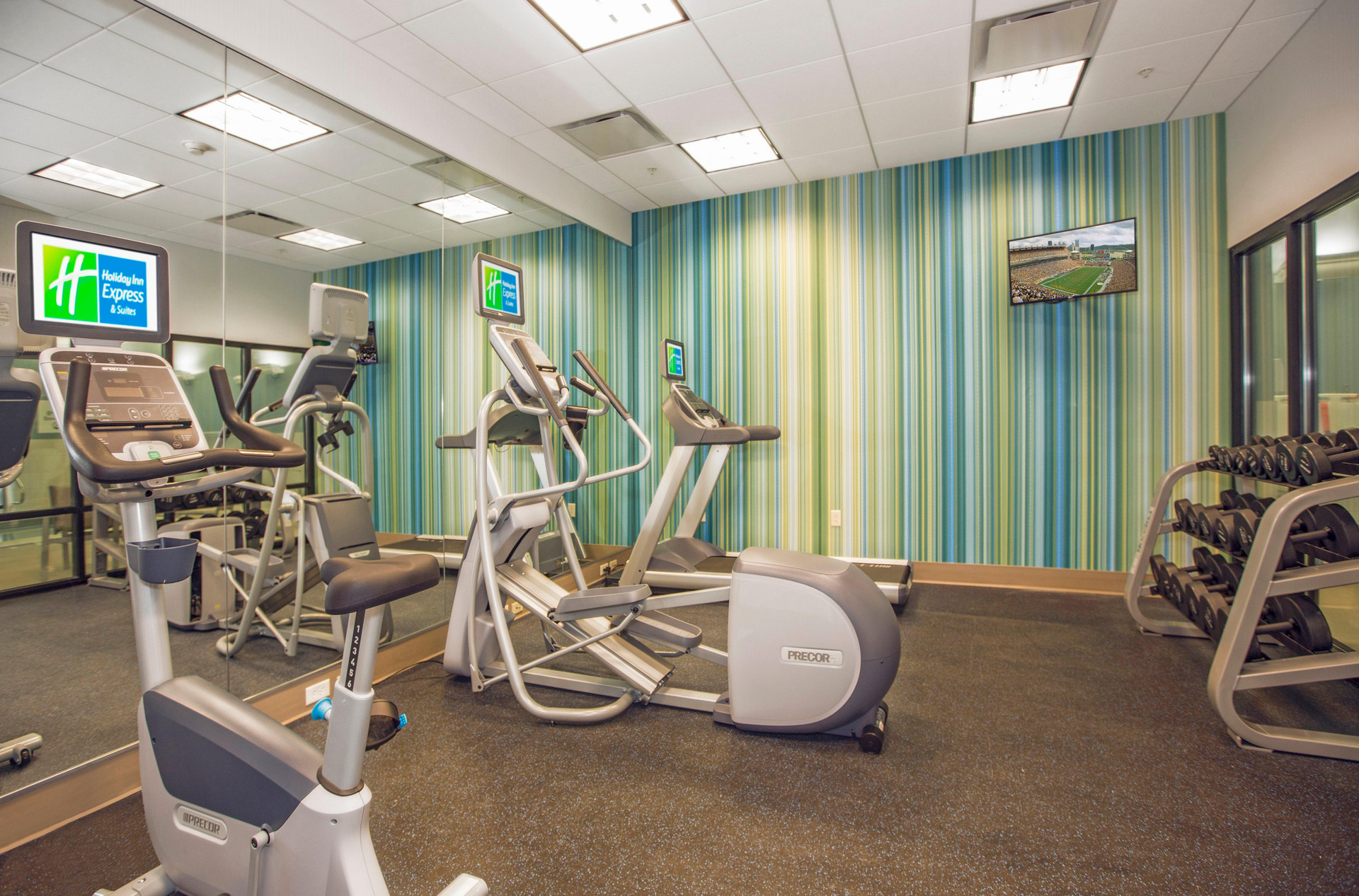 Instalaciones Recreativas Holiday Inn Express & Suites Pittsburgh North Shore by IHG