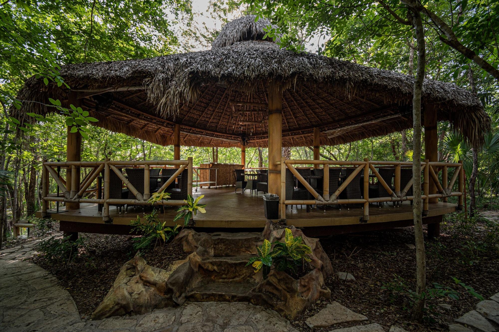 Restaurant Selva Teenek