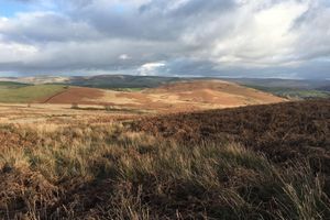 Alojamiento - Highland Moors Guest House