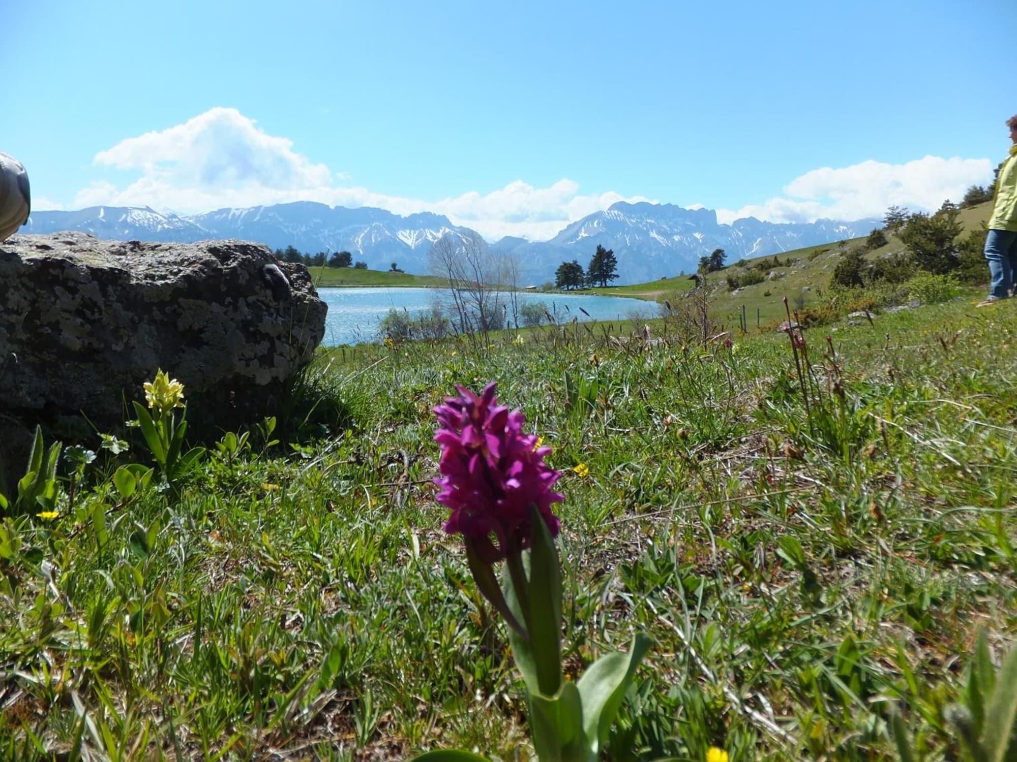 Comodidades del Alojamiento VVF Les Ecrins Champsaur, Saint Bonnet en Champsaur