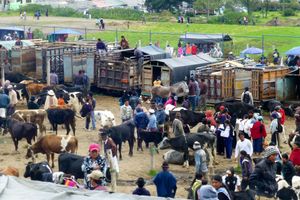 Actividad - Quilotoa, Cotopaxi