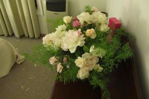 Alojamiento - Hacienda Santa Clara