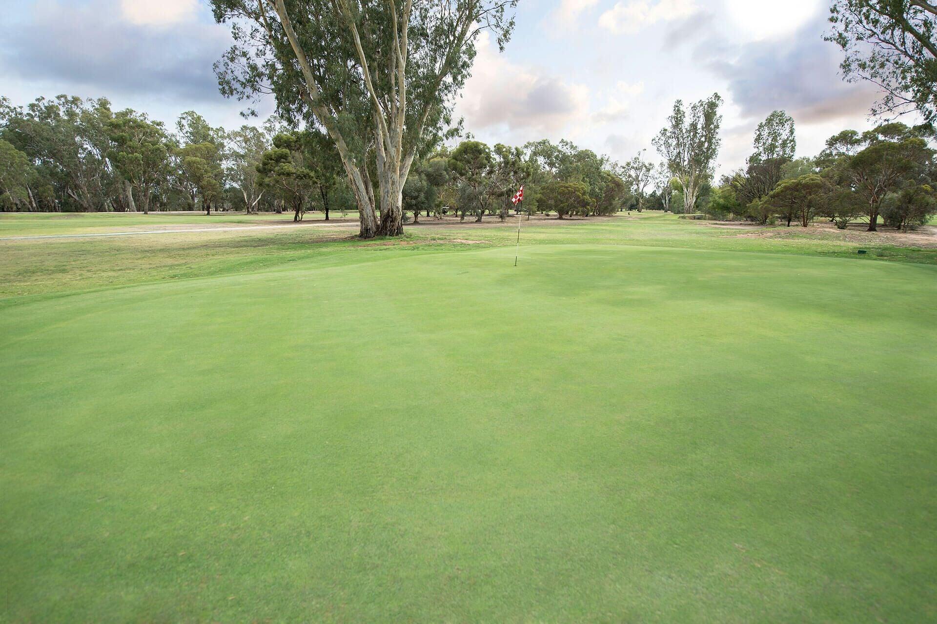 Campo de Golf Tooleybuc Motel