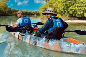 Actividad - Kayak por los manglares de Holbox