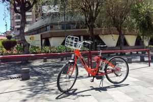 Alojamiento - Penthouse Lodge B&B