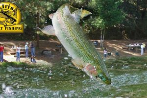 Alquiler Vacacional - Arcoiris Spor Fishing