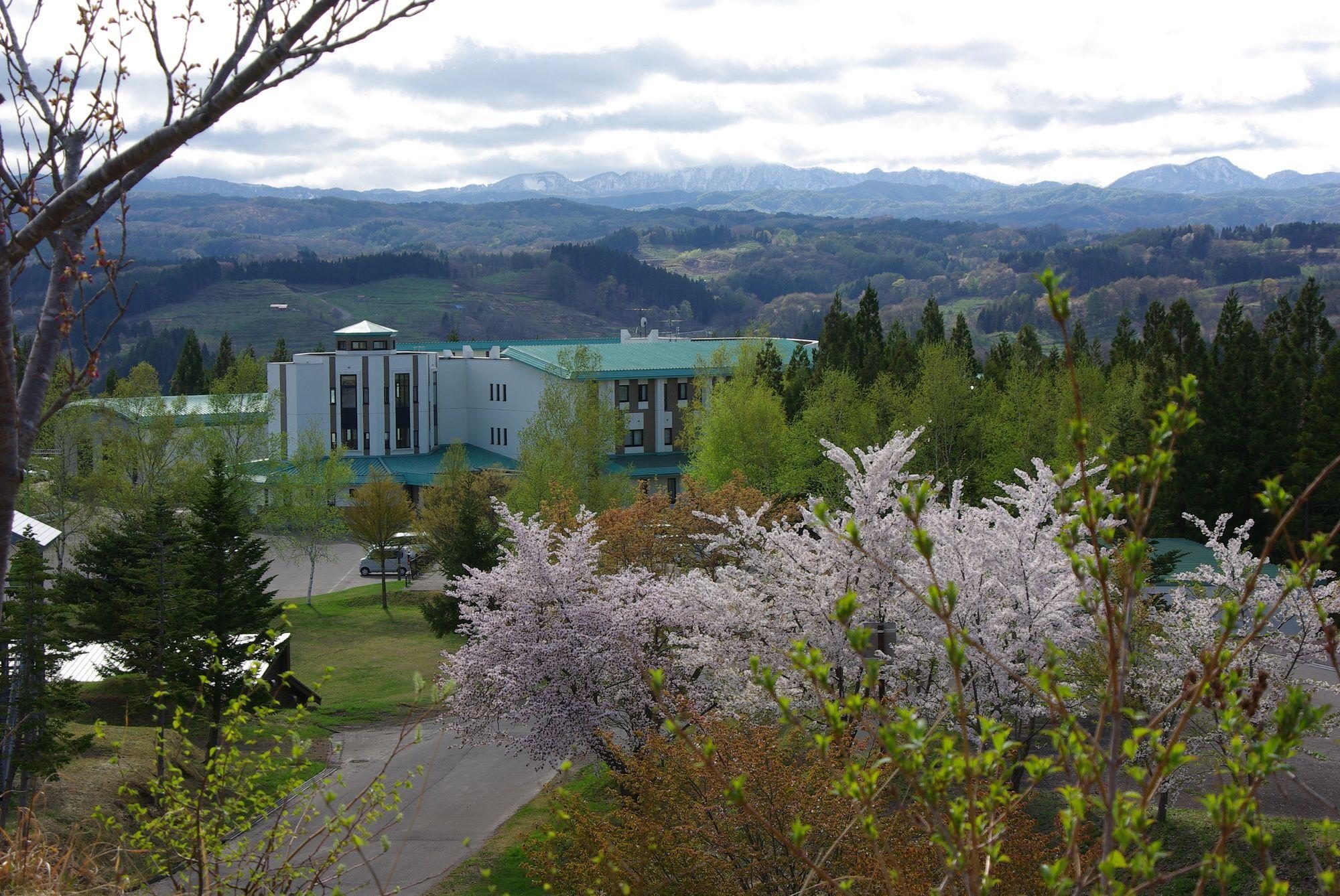 Vista Exterior Romantopia, A Landscape of Forest and Stars, The Swan, Hotel of Stars