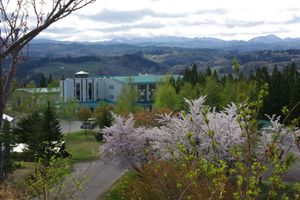 Alojamiento - Romantopia, A Landscape of Forest and Stars, The Swan, Hotel of Stars
