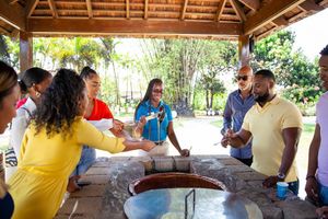 Actividad - Chukka Appleton Estate, Black River Safari & YS Falls - Montego Bay