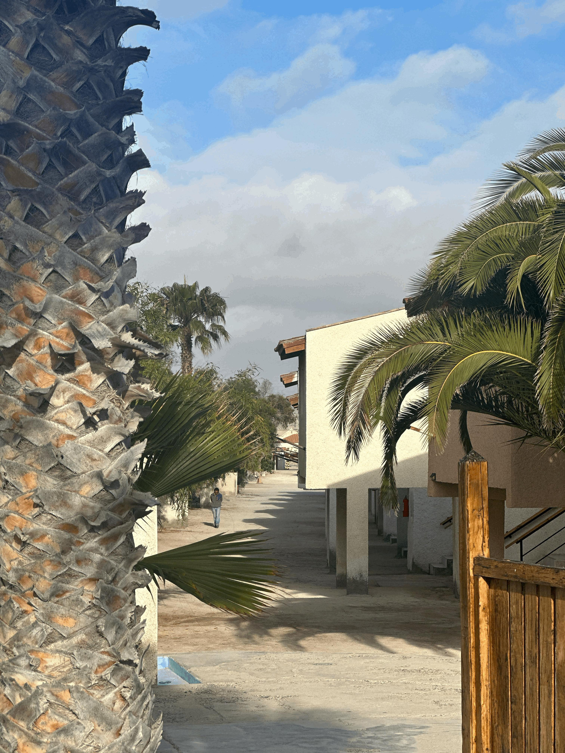 Playa apart hotel playa blanca
