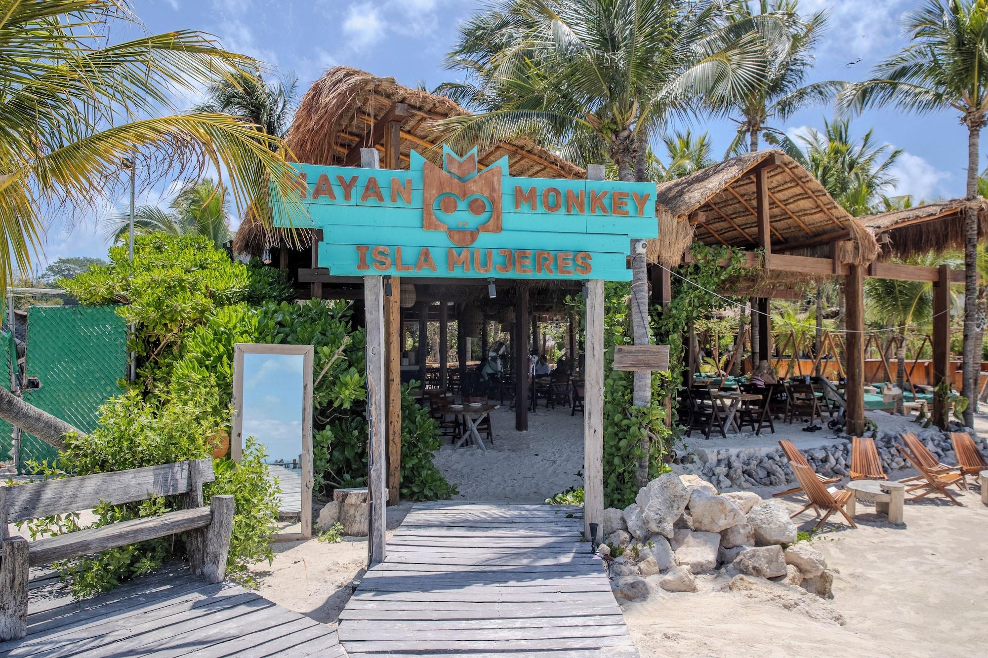 Vista Exterior Mayan Monkey Isla Mujeres | Social Hotel
