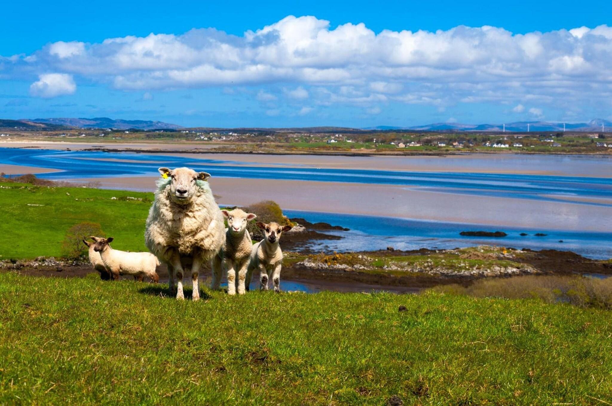 Playa The Abbey Hotel Donegal