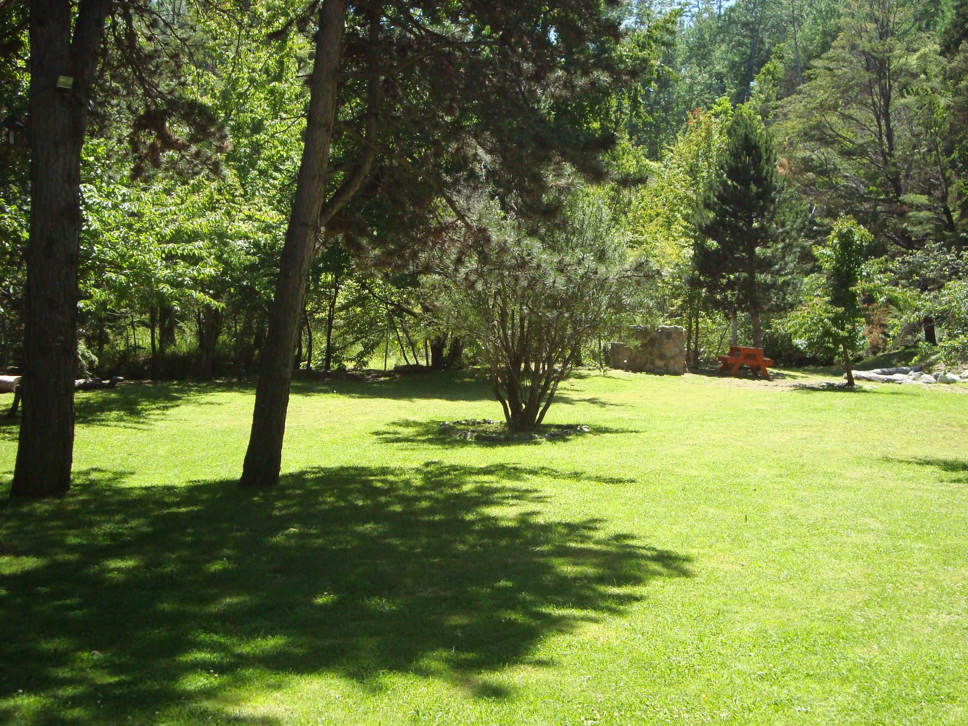 Vista Exterior Cabañas Rucaleufu