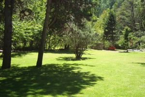 Alojamiento - Cabañas Rucaleufu