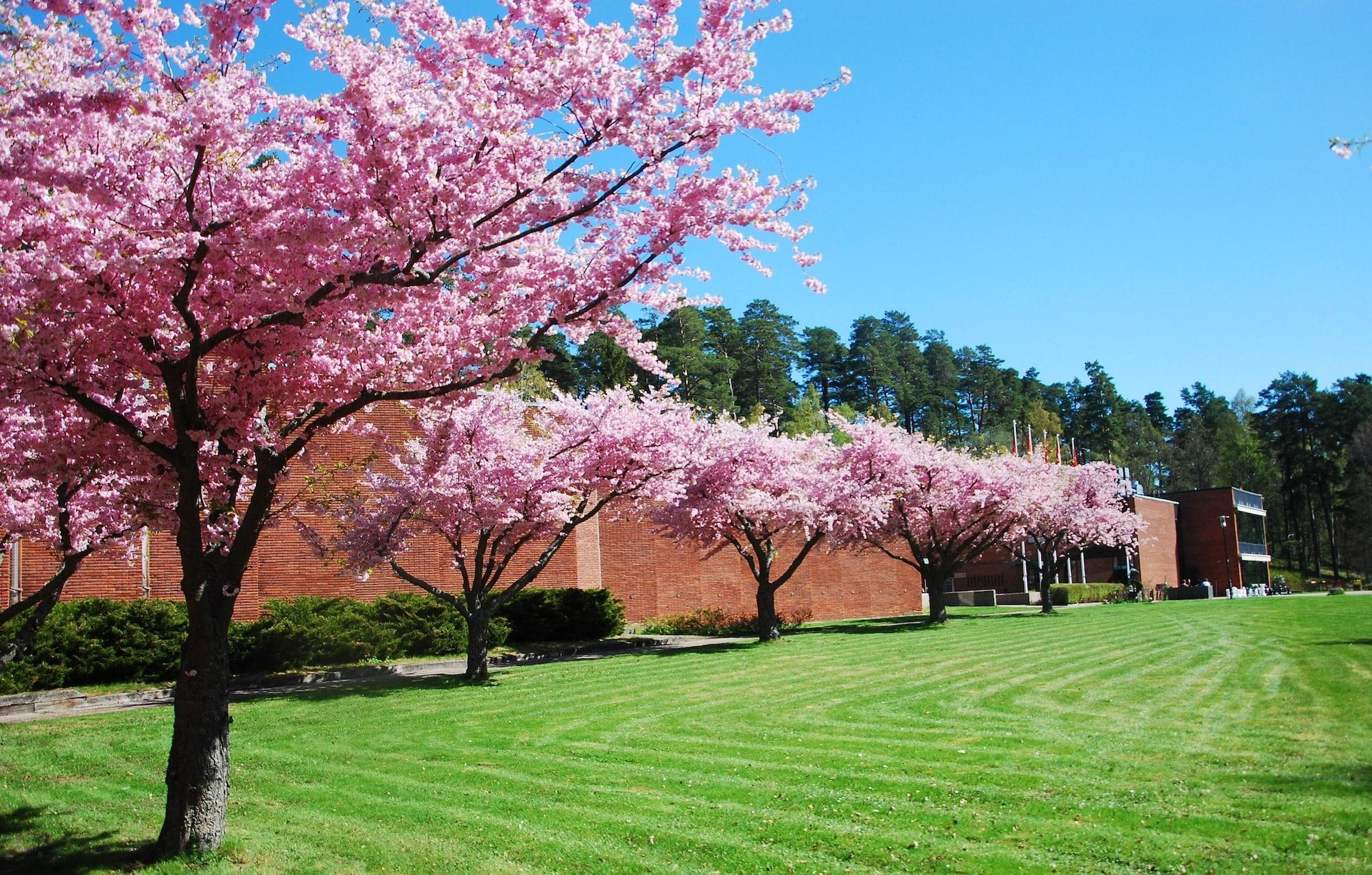 Vista Exterior Skogshem & Wijk