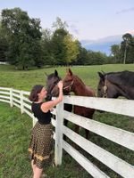 Alquiler Vacacional - Antique Log Cabin Near Charlottesville & Wineries | Sauna Just Installed!