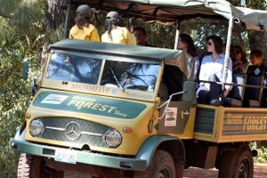 Actividad - Excursión a la Sierra del Tigre
