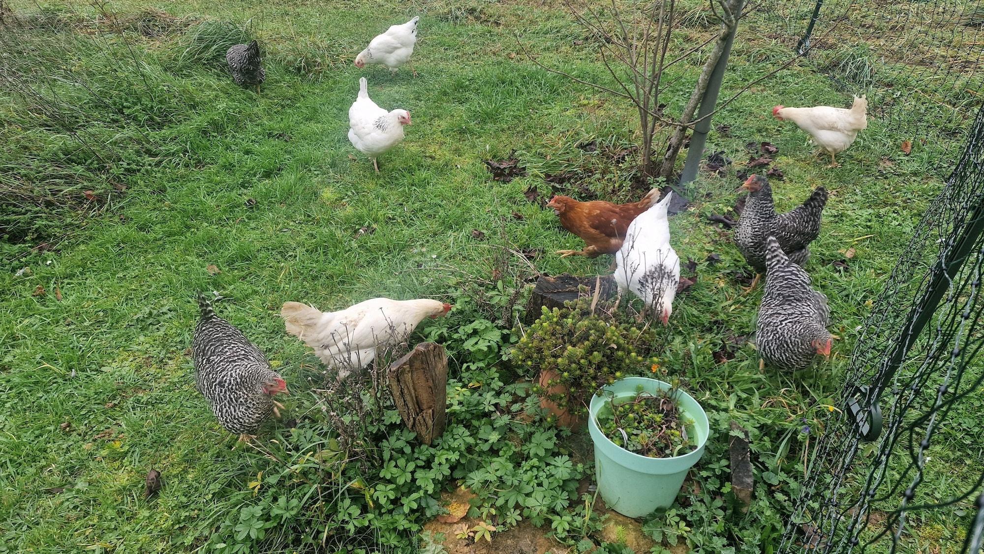 Vista Exterior Domaine Le Puits du Moulin