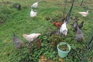 Alojamiento - Domaine Le Puits du Moulin