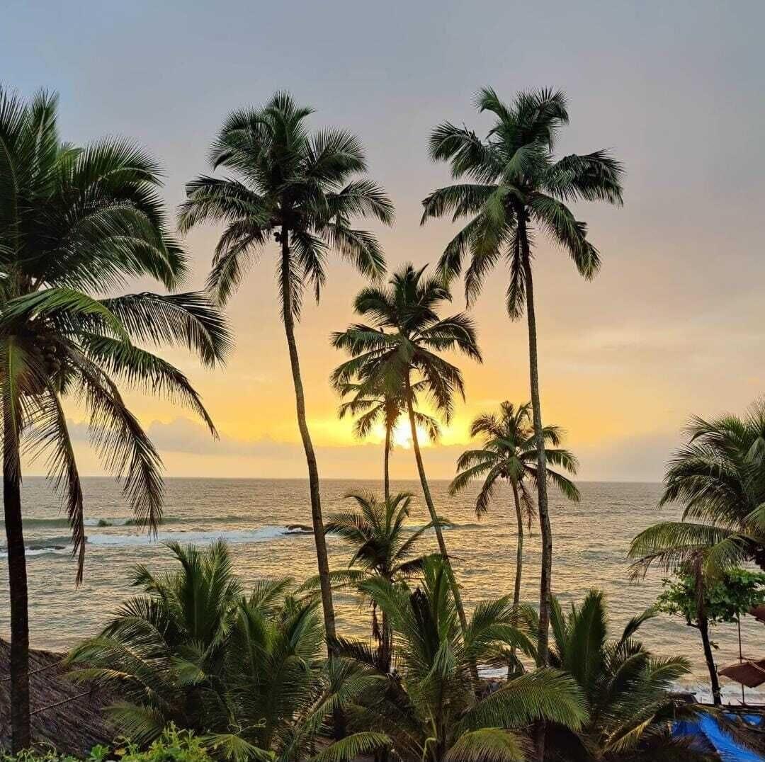 Varios Yuppi Hippi Hideout