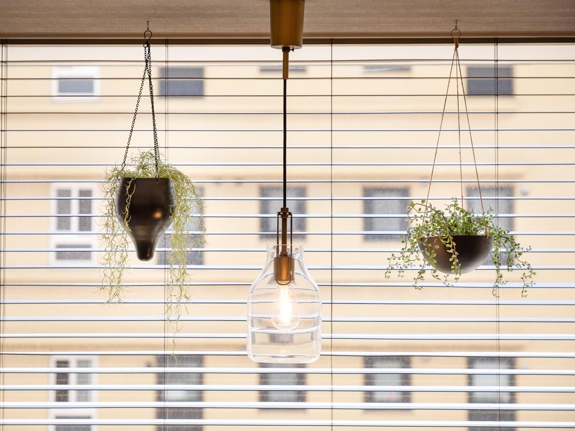 Comodidades del Alojamiento Comfort Hotel Tokyo Kiyosumi Shirakawa