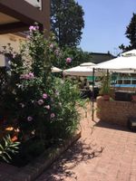 Alojamiento - Villa delle Rondini
