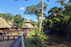 Alojamiento - Cuyabeno River Lodge