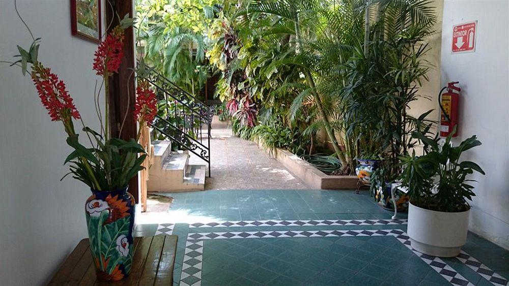 Vista Lobby Posada San Rafael