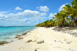 Paquete - Paquetes a Punta Cana