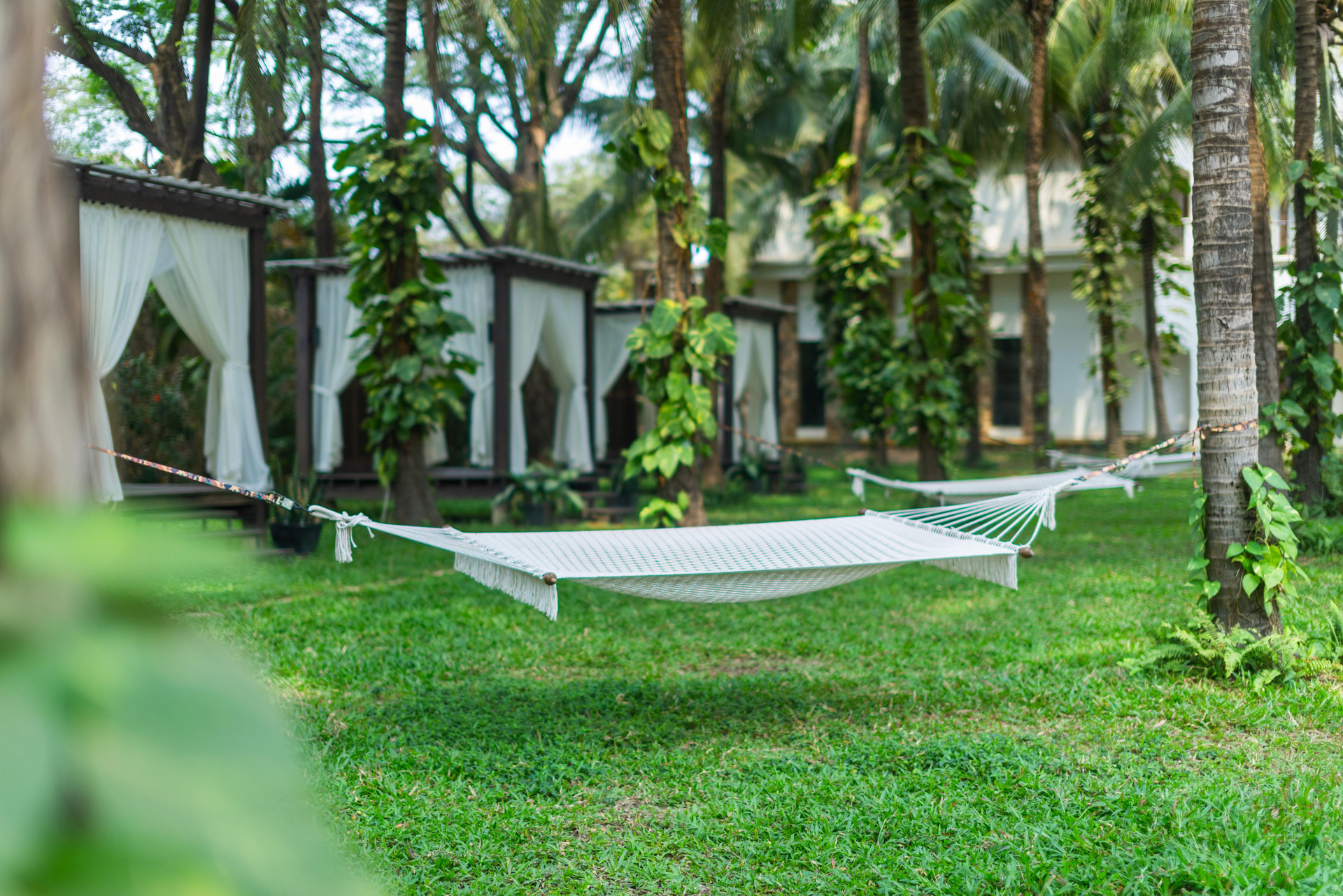 Vista Exterior Lotus Blanc Resort