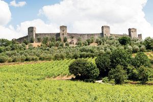 Actividad - Chianti y castillo - Excursión en grupo pequeño