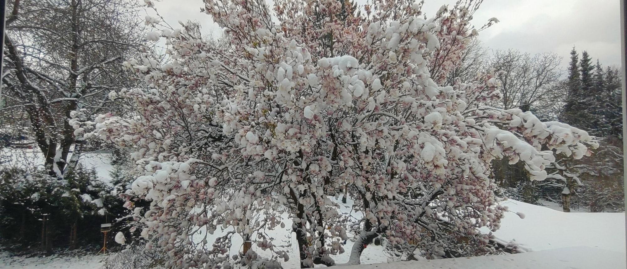 Comodidades del Alojamiento Pension Doemens