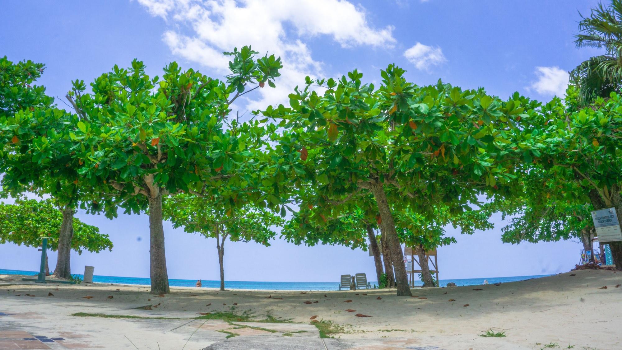Playa Negril Beach Club