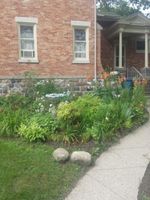 Alojamiento - Rose Corner Inn