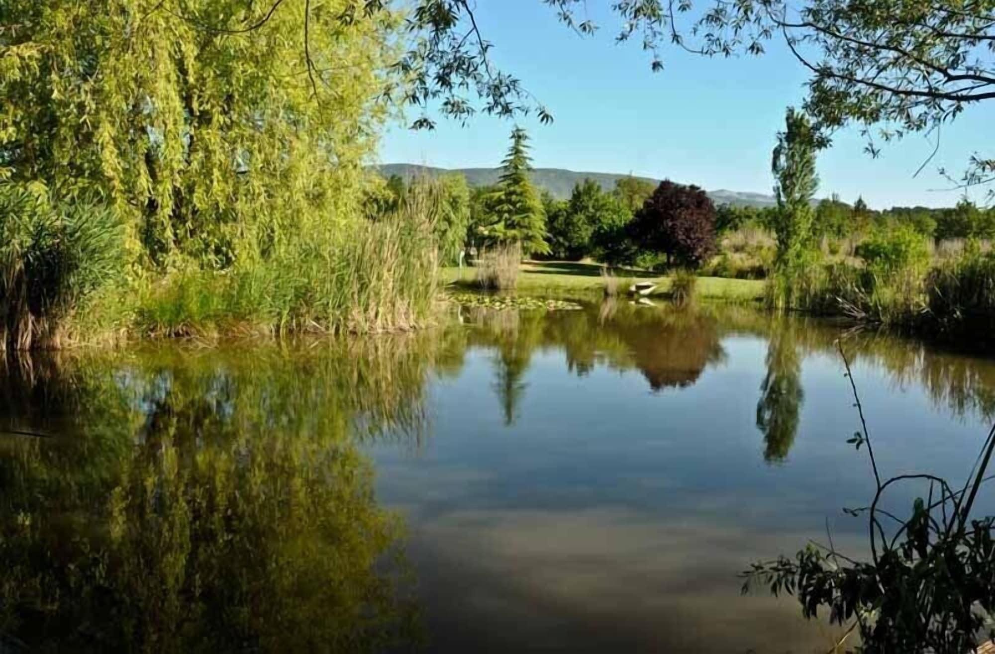 Varios Domaine de la Bégude