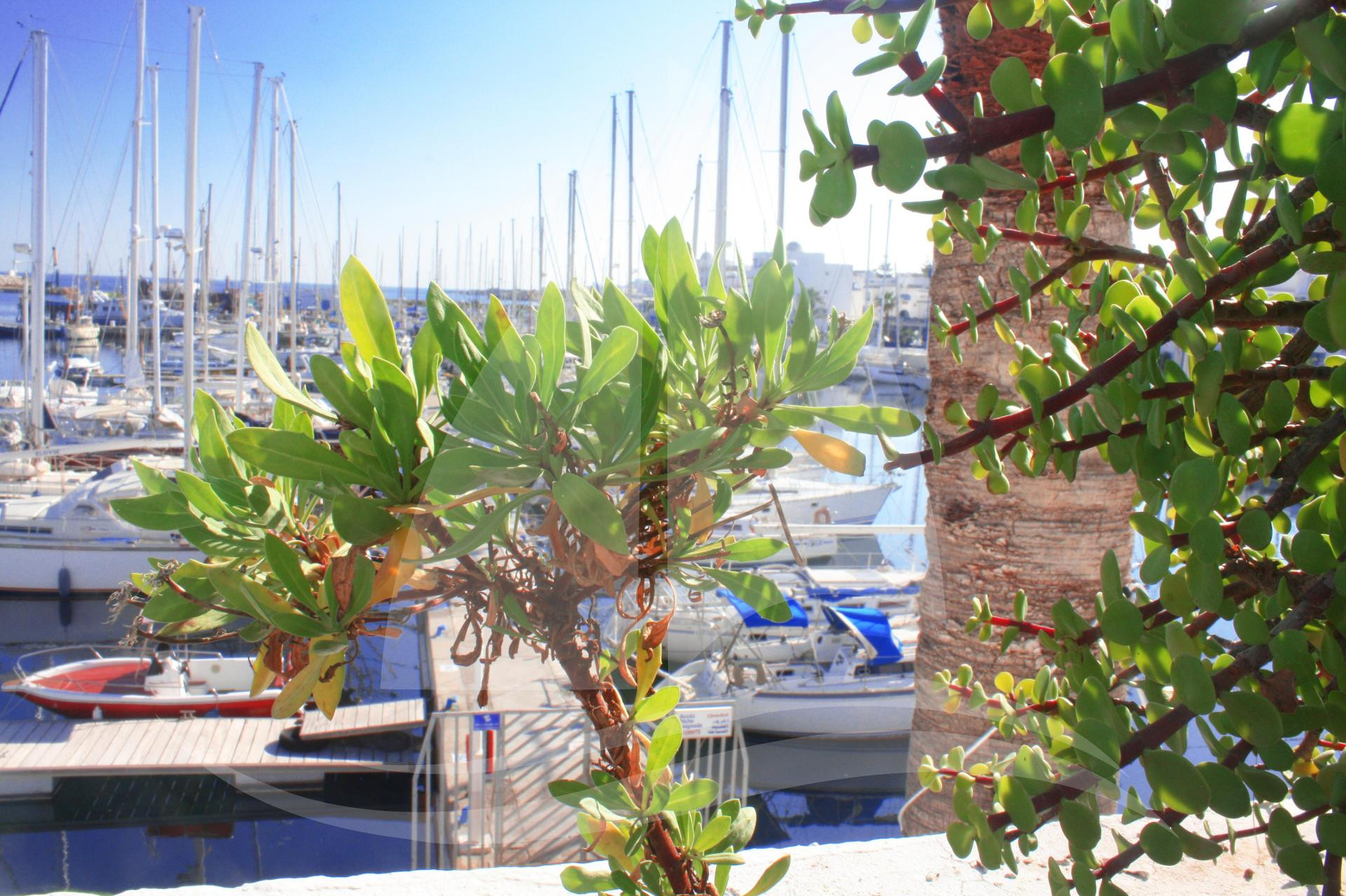 Varios Marina Cap Monastir Appart Hôtel