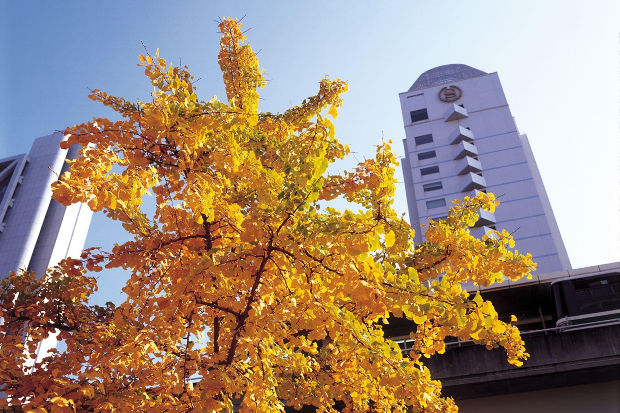 Vista Exterior Kobe Bay Sheraton Hotel & Towers