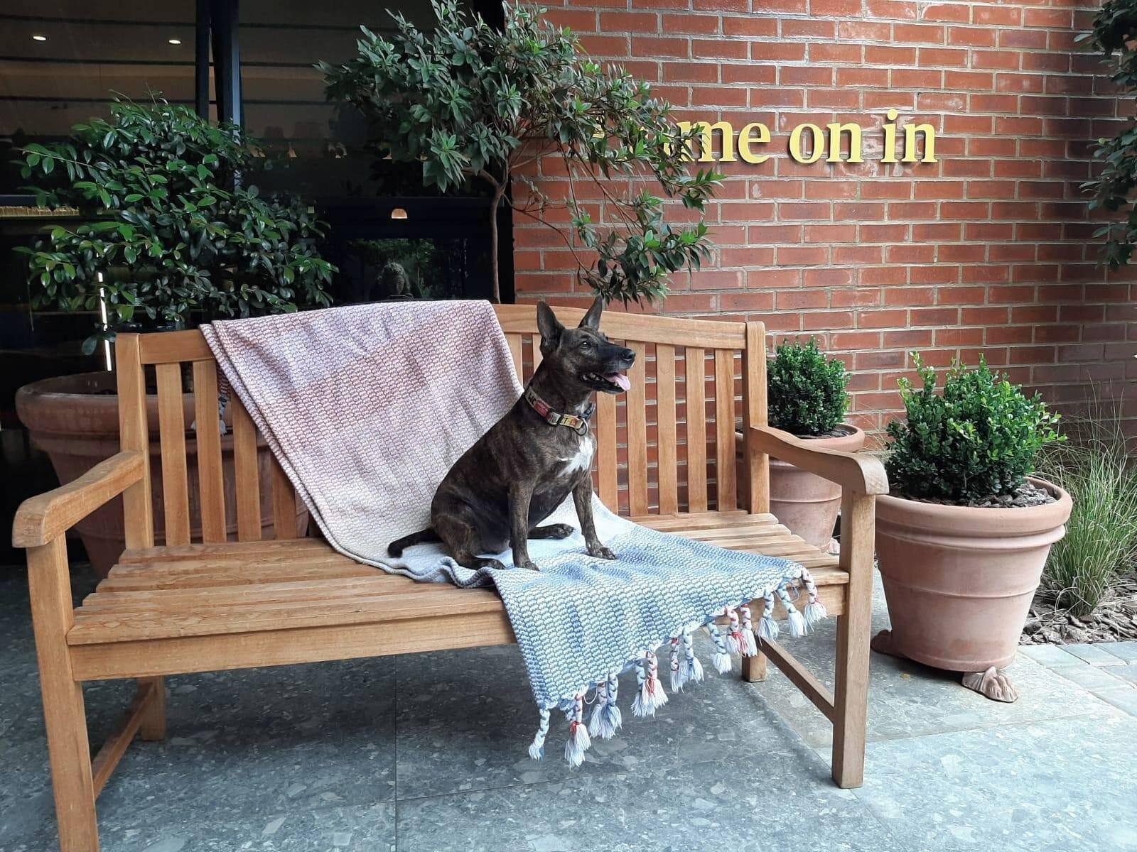 Vista Exterior Home Suite Hotels Rosebank