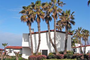 Vuelo - Vuelos a Rosarito